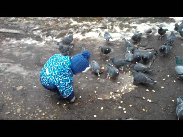 WP 20141029 082529Z смотреть онлайн