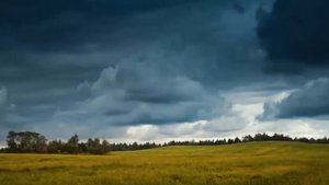 Песня, от которой мурашки | Я О РОДИНЕ ПОЮ I Людмила Николаева и ансамбль "Русская душа"