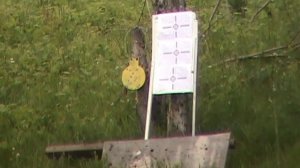 100 метров 12 калибр  полет пули.