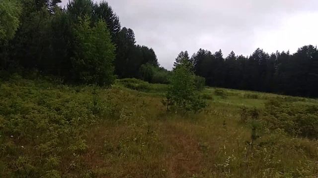 Роковая оплошность (вместо воды выпил электролит) смотреть онлайн