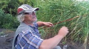 Жизнь в деревне: На рыбалку с собакой !  Карась клюёт на чеснок. Моему другу Тимошке посвящается