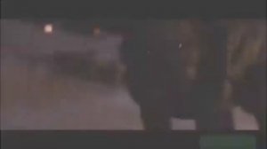 волк закон стаи ?