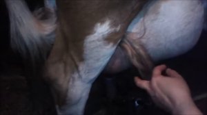 ДОИМ КОРОВУ ДОИЛЬНЫМ АППАРАТОМ. Мастер класс от Казачки. Часть 1.