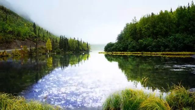 Звуки природы, пение птиц, Звуки Леса, для релаксации, сна, Медитации, Relax 1 час 12 минут смотреть онлайн