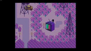 Omori: Coffee Location and Farming Method