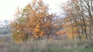 белгородская область природа / природа белгородской области берегите