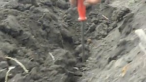 Синтай 244 в работе с плугом