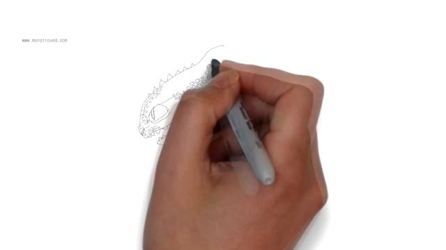 НОЧНАЯ ФУРИЯ ВЫМИРАЕТ, КАК ВИД