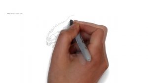 НОЧНАЯ ФУРИЯ ВЫМИРАЕТ, КАК ВИД