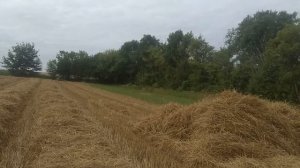 ВОЛОКУША ДЛЯ СОЛОМИ НА МОТОБЛОК