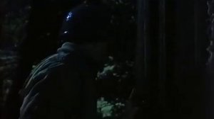 Железный крест 2 Штайнер 1979