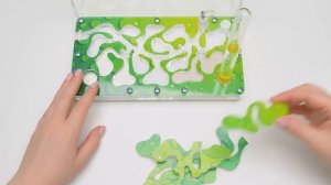 Муравьиная ферма в морском стиле своими руками | Что делают муравьи, пока никто не смотрит?