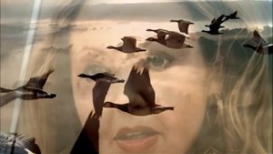 Вячеслав Хурсенко "Крик белых журавлей" кавер от Виктора. Волика.