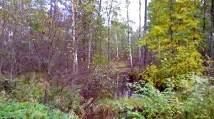 Берёзовка Дегтярка