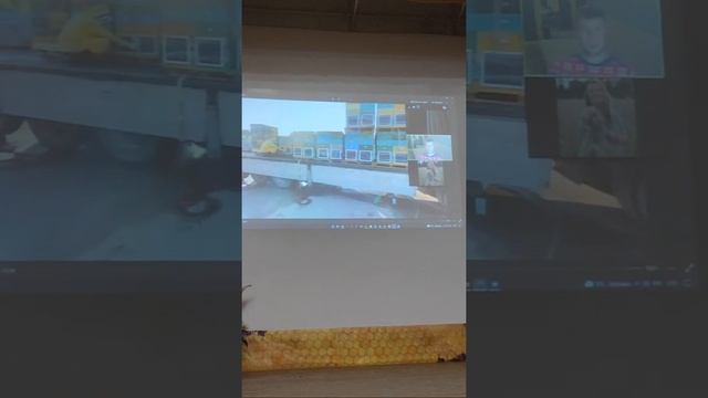 Использование в кочевой пасеке ульев ППУ"Нижегородец",  Алексей Тараканов, Ген.дир-ор. Пчеловод-202