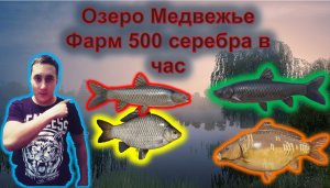 Русская рыбалка 4-Медвежка ФАРМ серебра 500 серы в час..Бешённый клёв карпов