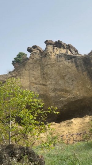 Каменные животные Кисловодского парка: чудеса природы