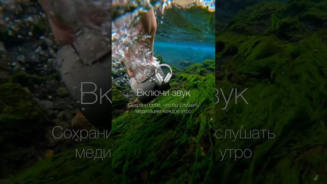 Медитация формирования новой реальности ￼#алларакович #путькуспеху #allarakovych