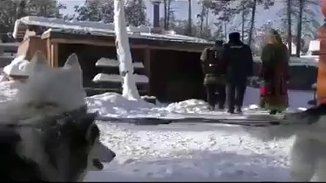 Ролик - поздравление с 8 марта от полиции Якутии смотреть онлайн