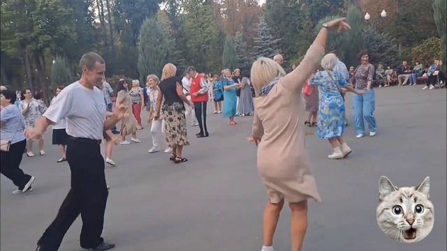 Танцы-шманцы
