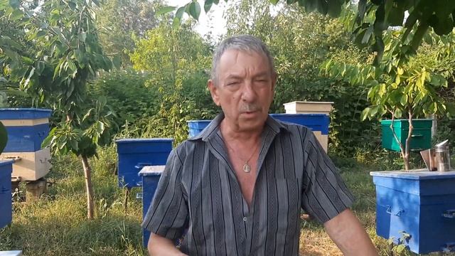 ПАСЕКА.ПЧЕЛОВОДСТВО. Какая порода пчёл лучше.