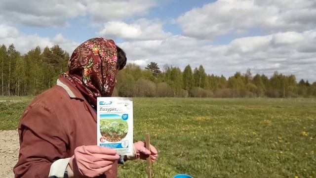 "Лазурит" на картофель! смотреть онлайн