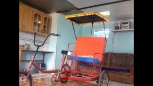 велорикша своими руками обзор фото грузопасажирский