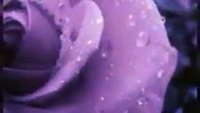 💜 Твой цвет по знаку зодиака 💜 смотреть онлайн