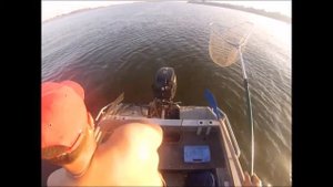 Рыбалка на ерике Казачий и реке Митинка