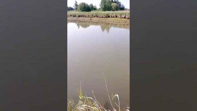 съездили с Даником на рыбалку смотрите смотреть онлайн