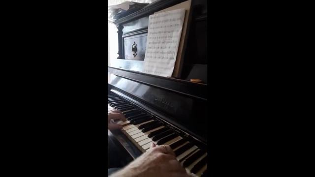 Дядя играет мелодию Вивьен - Прибрежная 09072022 смотреть онлайн