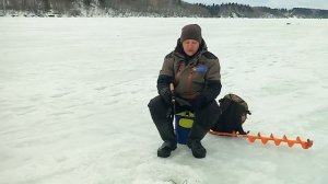 Ловля судака зимой: советы по приманкам и снастям