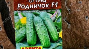 Краткий обзор Недорогих и Урожайных семян Огурцов которые я буду выращивать в дачном сезоне 2021