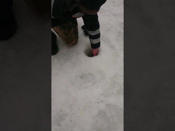 На пасту