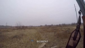 Охота с лабрадором