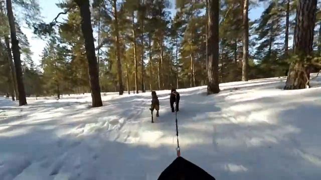 гонка Зимняя сказка день второй смотреть онлайн