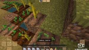 МАЙНКРАФТ ДЕРЕВНЯ