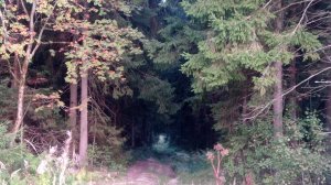 Охотогрибокоп