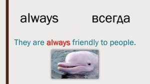 Adverbs of Frequency Grade 5 p 88