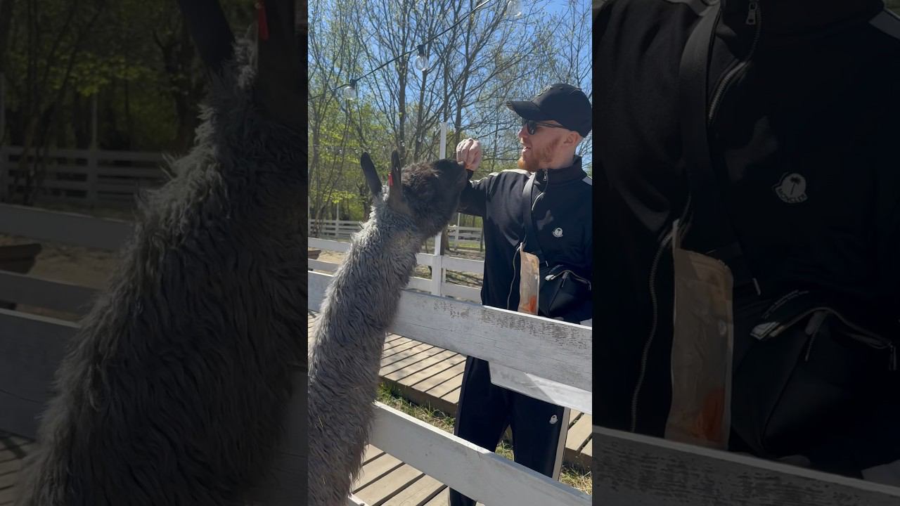 Иди ко мне смотреть онлайн