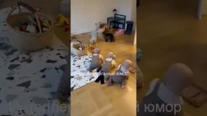 Тройняшки и кот