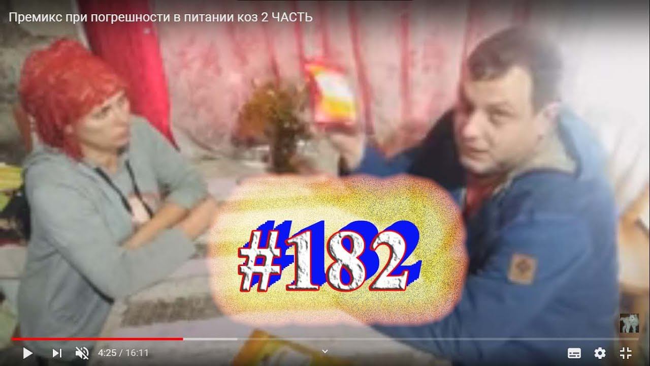 Премикс при погрешности в питании коз 2 ЧАСТЬ