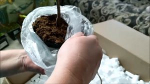 Распаковка посылки из GardenPlants. Не рекомендую!