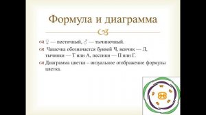 Цветок, плод и семя. Органы растений.