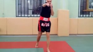 Прямой удар рукой с шагом вперёд и назад. Техника.