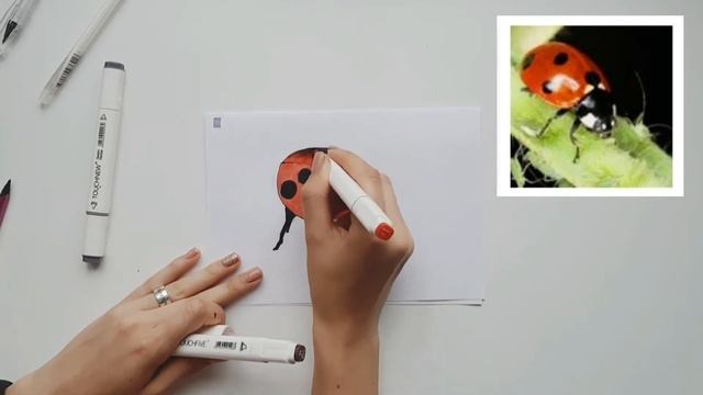 как нарисовать божью коровку? легко. уроки рисования маркерами для начинающих #6. смотреть онлайн