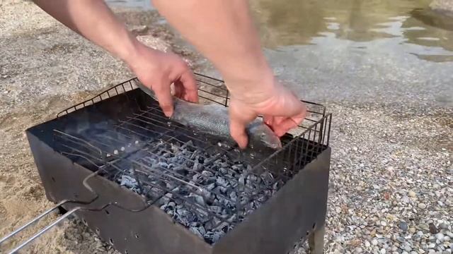 Все СЕКРЕТЫ приготовления рыбы. СИБАС на мангале.