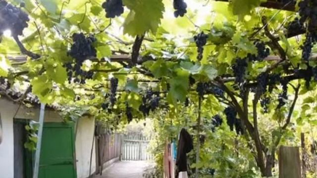 Недвижимость И Цены Омск