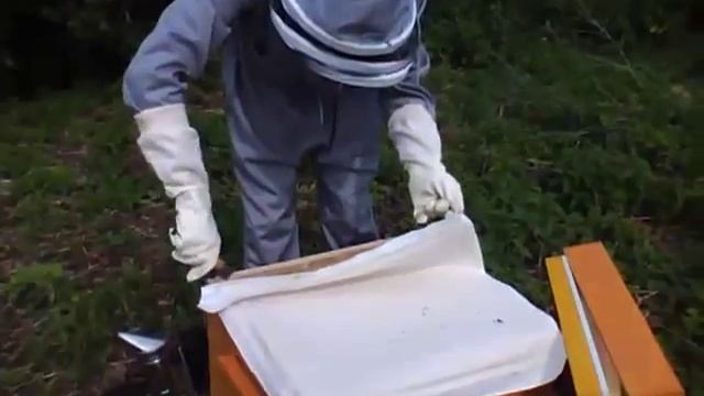 Установка магазинной надстройки на улей Дадана смотреть онлайн