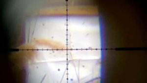 РСР винтовка отстрел Люманы 1.5 г.PCP rifle shooting Luman 1.5 g.